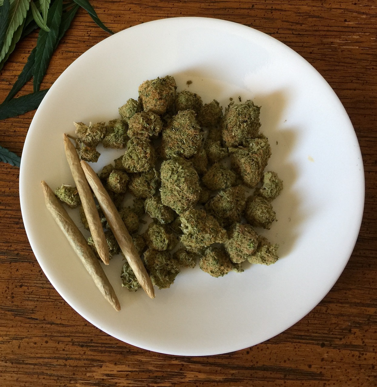 cannabis-1418333_1280 cbdrocks