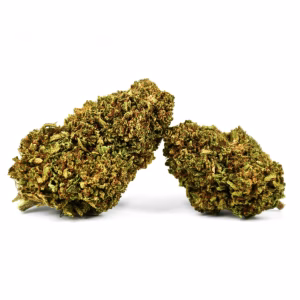 legal budds