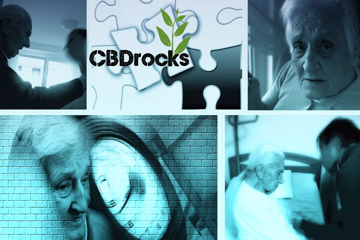 cbdrocks dementia 3 cbd and pain